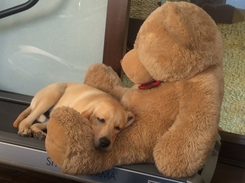 Anything for this kind of peaceful sleep!