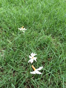 my time to stand and stare. 