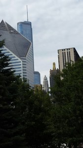 View from Millennium Park.