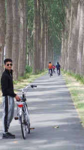 The gorgeous cycling path