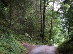 The sights you see while walking down